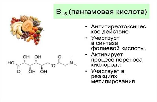 Витамин в15 (пангамовая кислота). описание, функции, суточная потребность и источники витамина b15 | медицина на "добро есть!"
