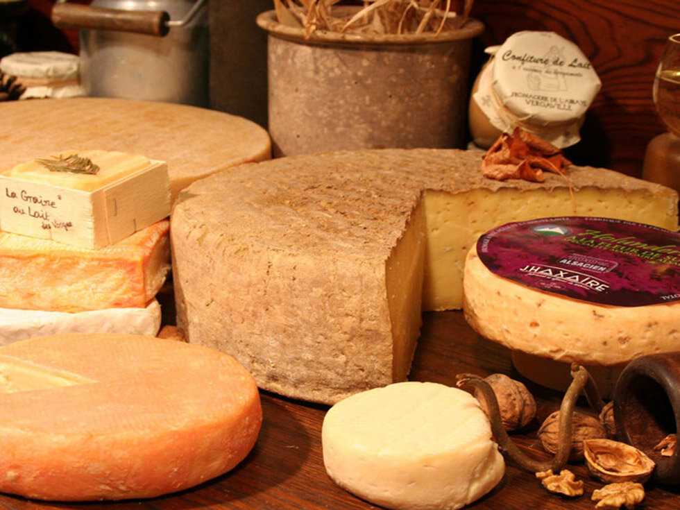 Сыр - польза и вред для организма мужчин и женщин