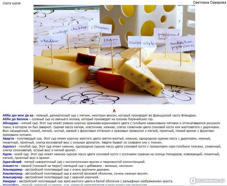 Виды сыров и их классификация