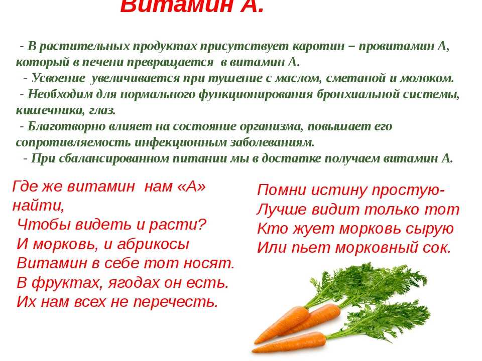 Морковь польза и вред для организма человека - портал обучения и саморазвития