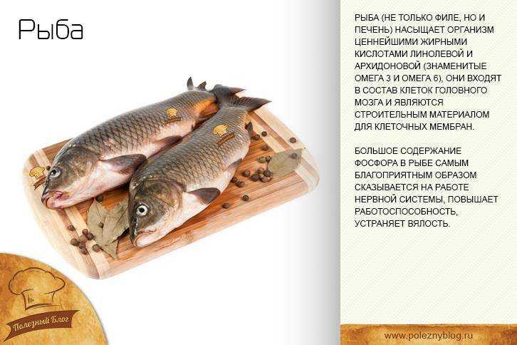 Полезные свойства рыбы для питания | статья в журнале «молодой ученый»