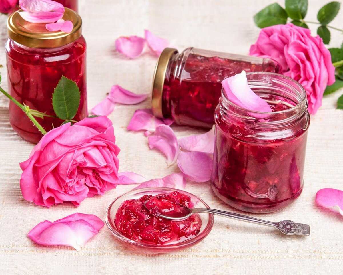Лепестки роз: рецепты, польза и вред, как есть