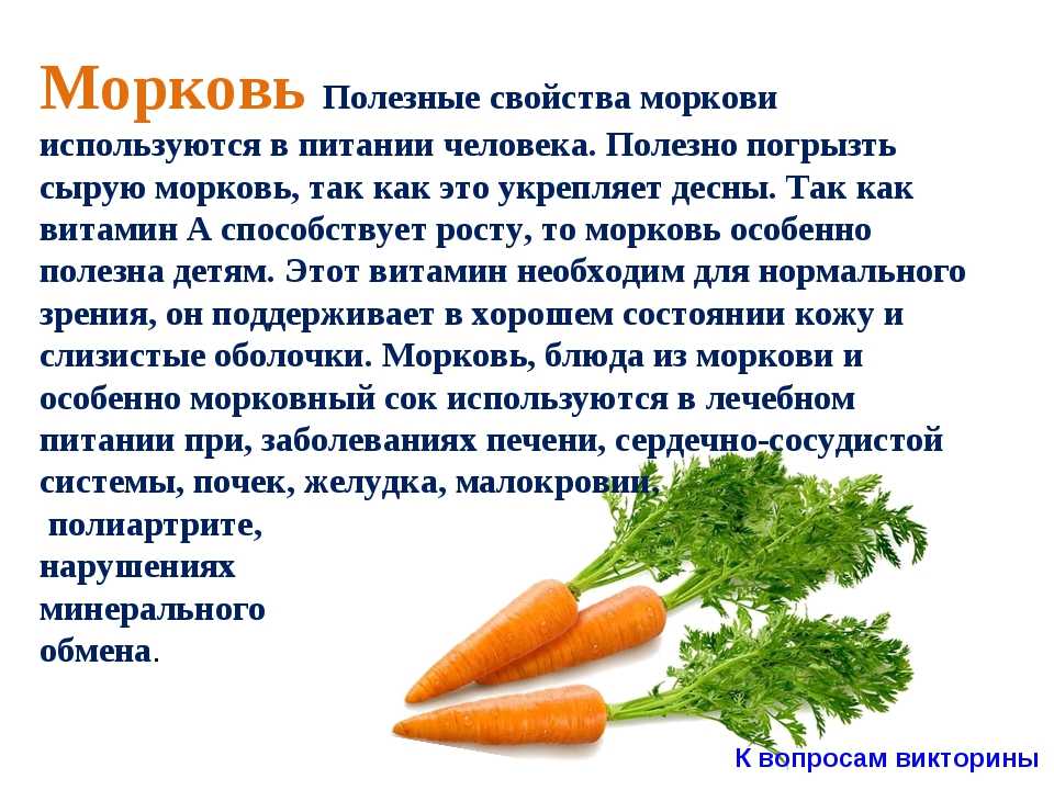 Польза и вред моркови для организма человека, калорийность и состав