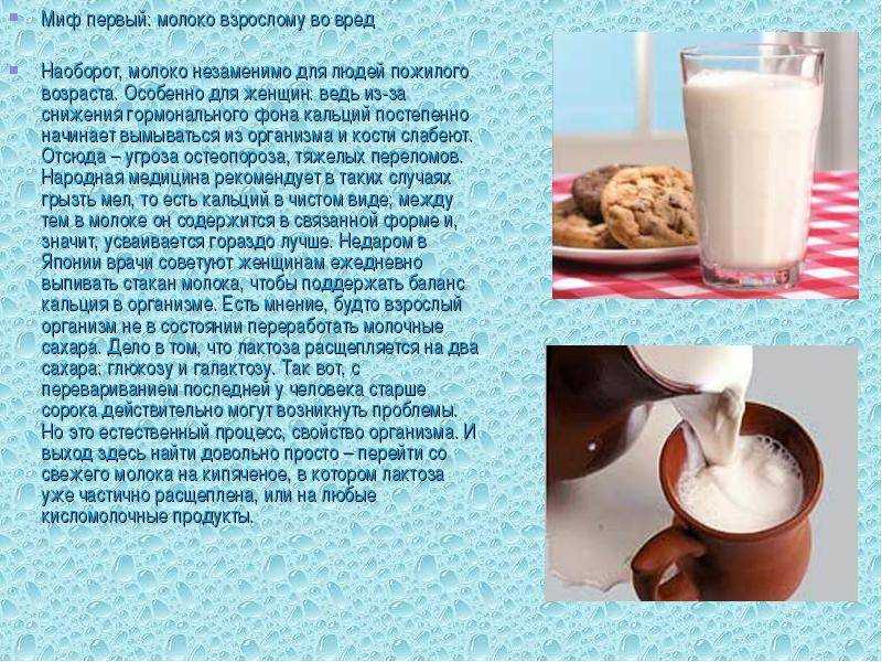 Молоко — содержание бжу, калорийность, полезные свойства