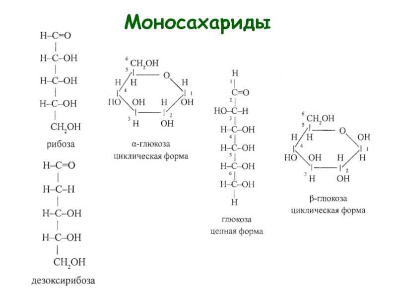 Фруктоза является моносахаридом