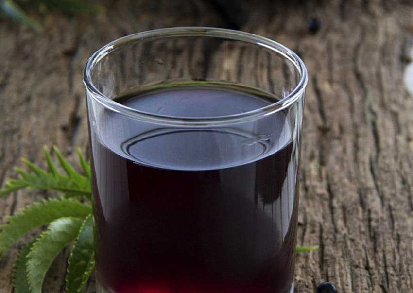 Простейшее вино из черной смородины. Вино из черной смородины. Слива в вине. Вино домашнее литровое графин. Молоко с черной смородиной.