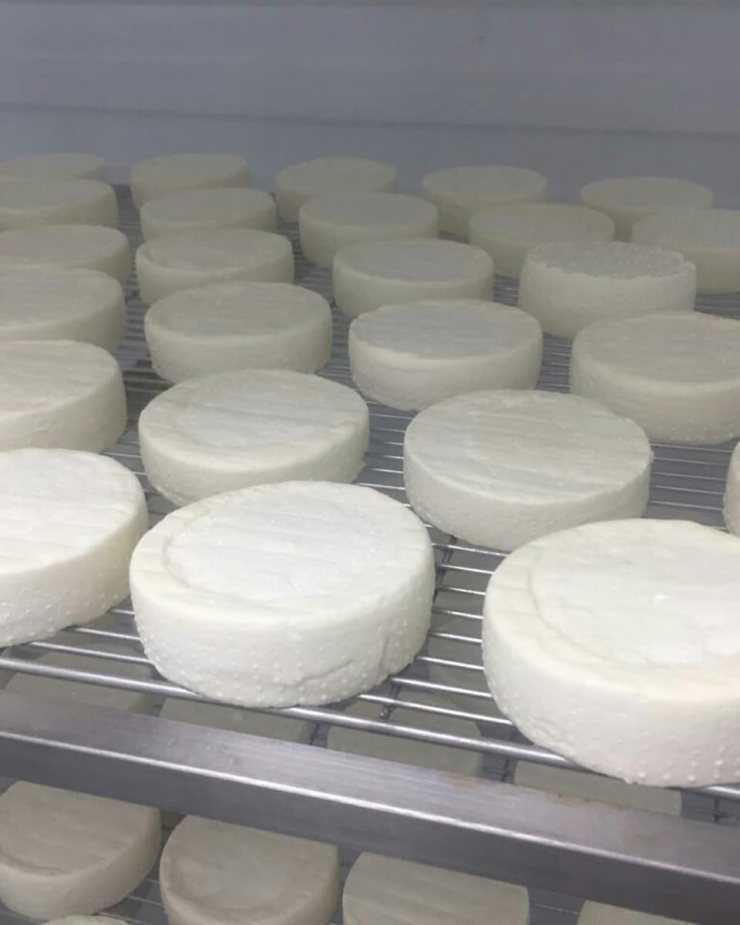 Сыр камамбер: калорийность, польза и вред, как приготовить и как правильно есть сыр с белой плесенью камамбер