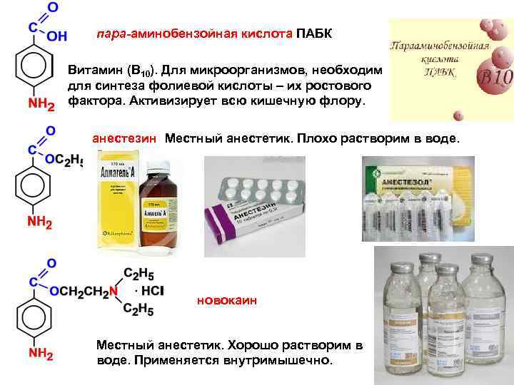Дефицит витамина b и гипергомоцистеинемия | университетская клиника