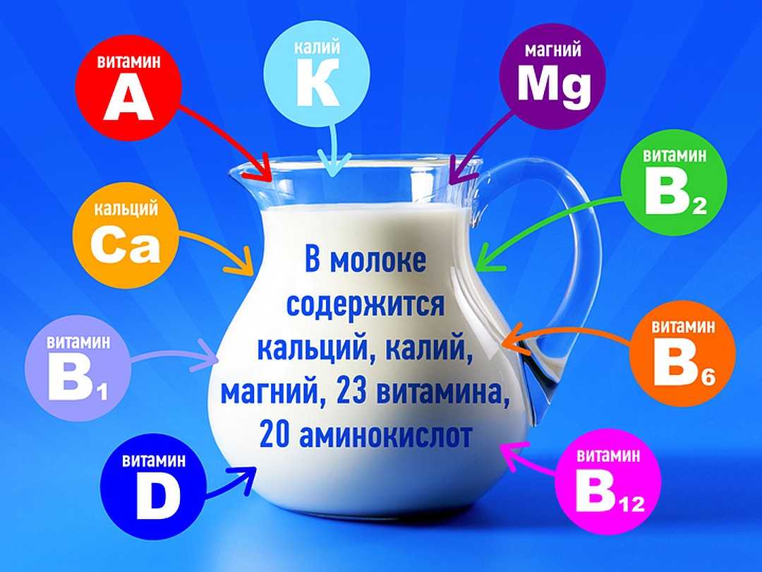 Молоко топленое: рецепты, польза и вред