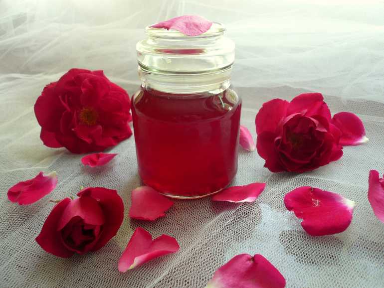 Какая роза подходит для варенья: сорта, их польза и вред. варенье из лепестков розы в домашних условиях — вкусный рецепт розового лакомства от аллы ковальчук