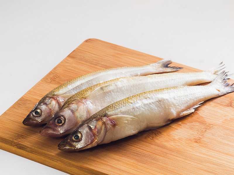 Рыба корюшка: польза и вред, фото и приготовление