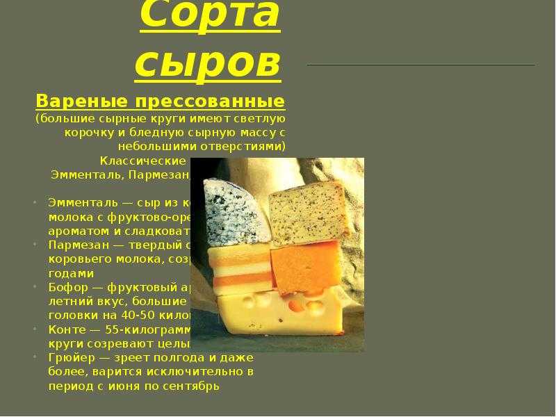 Сычужный сыр содержание полезных веществ, польза и вред, свойства, блюда