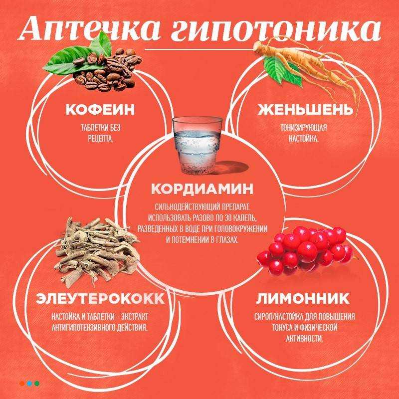 Варенье из мяты: приготовление и отзывы :: syl.ru