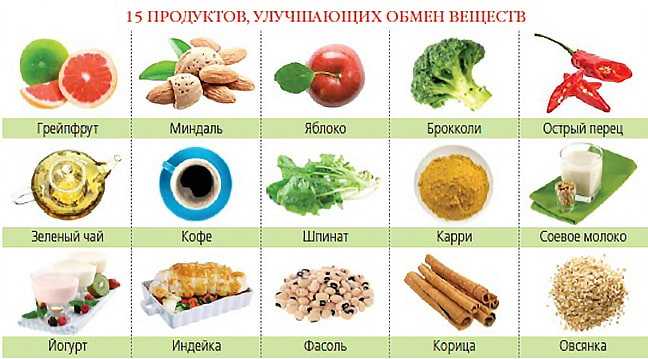 Какие продукты ускоряют метаболизм в организме человека