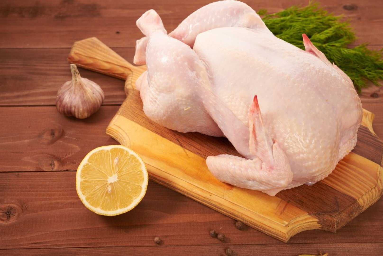 Poultry meat. Тушка мясо птицы индейки. Курица тушка. Курица свежая. Курица охлажденная.