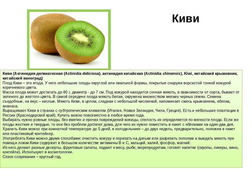 Киви фрукт — полезные свойства и противопоказания, вред для организма 🥝