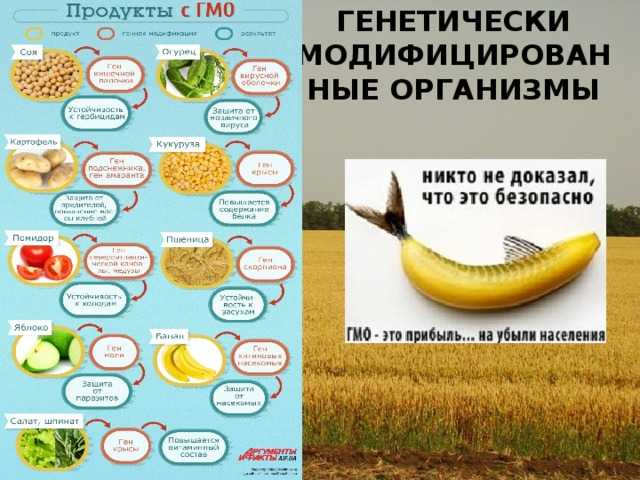 Гмо: польза или вред, расшифровка, список продуктов в россии