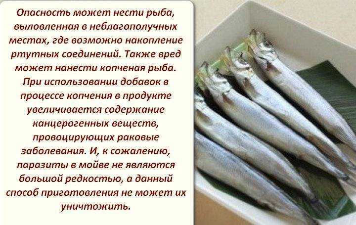 Угорь рыба полезные свойства. полезные свойства продукта