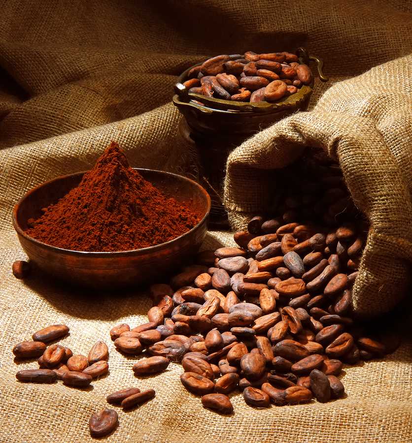 Все о какао: история, химический состав бобов, полезные свойства напитка