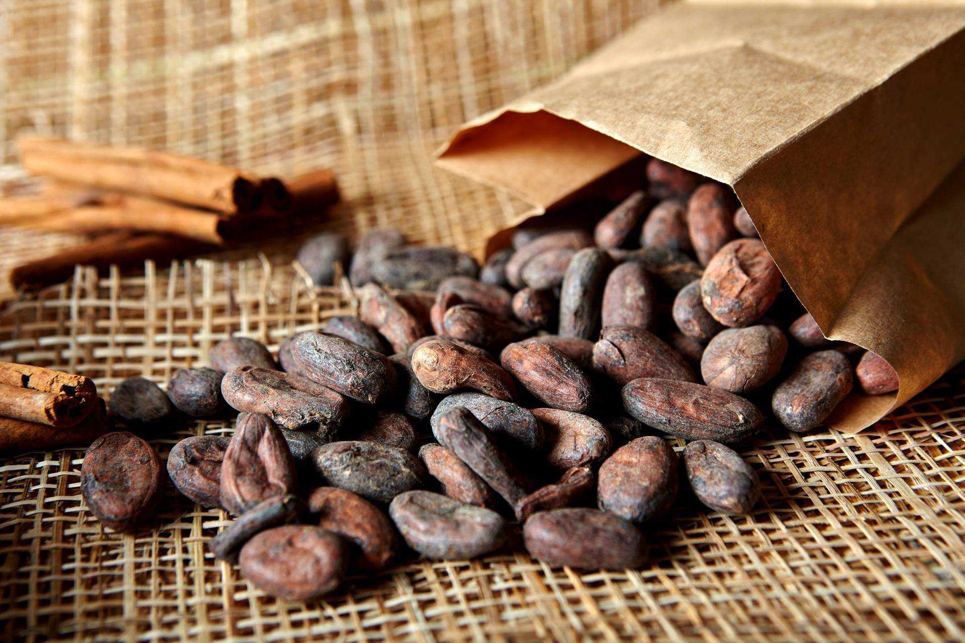 Какао польза и вред для здоровья порошок какао бобы фото