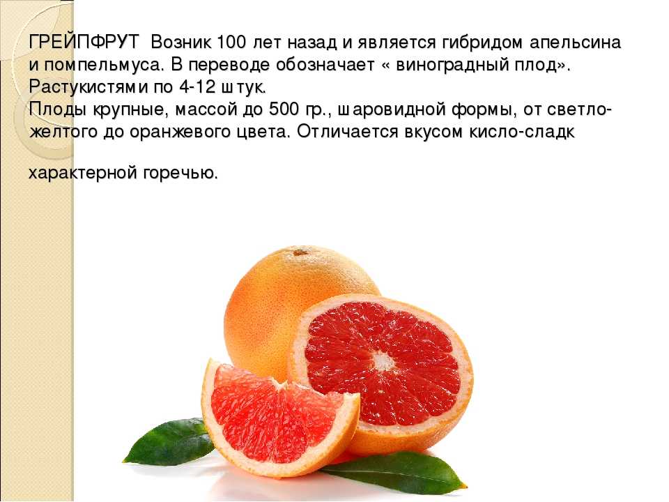 Грейпфрут: польза и вред для здоровья организма