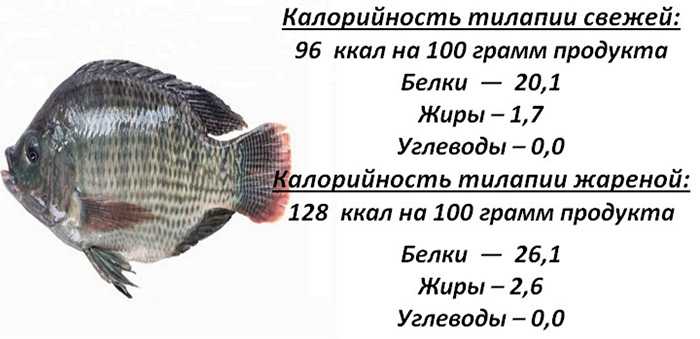 Сколько калорий в жареной рыбе морской окунь