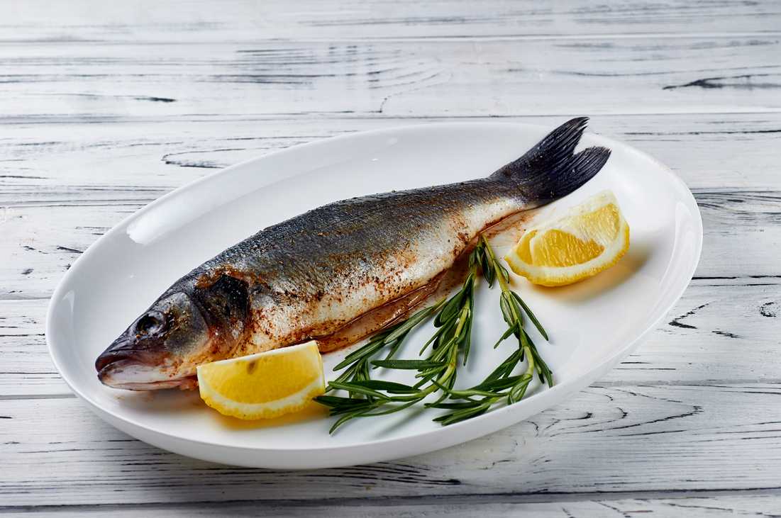 Рыба сибас: польза и вред, где водится, химический состав, сколько калорий, можно ли детям