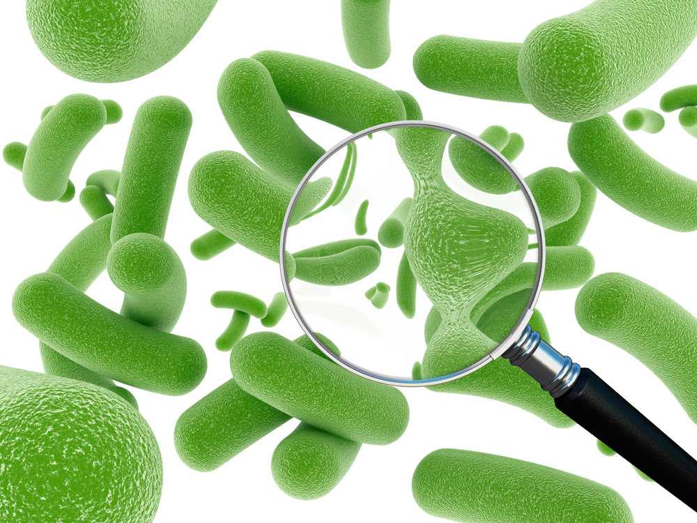 Роль пробиотиков в организме человека Классификация и пищевые источники Правила употребления пробиотиков и противопоказания