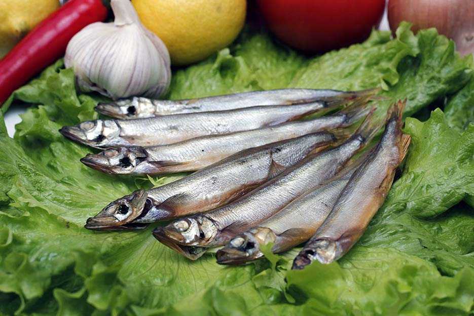 Салака🐟 польза и вред, 12 свойств рыбы для организма, противопоказания