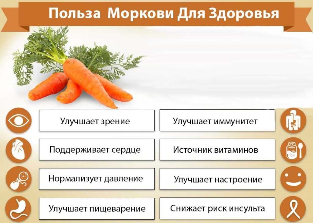 Морковь: польза и вред для здоровья женщины и мужчины
