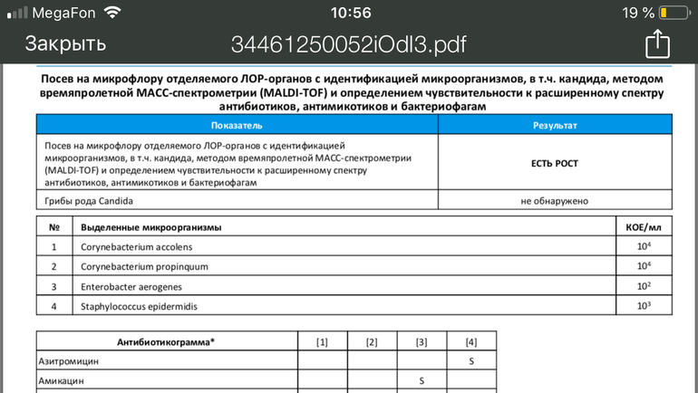 Микробиологические исследования | университетская клиника в спб