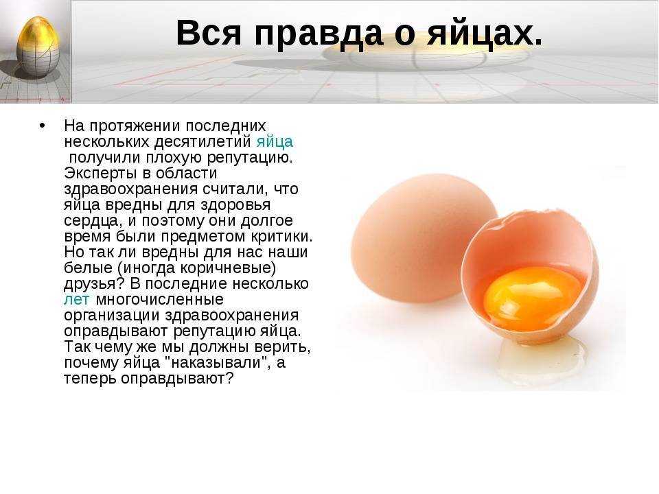 Как готовить индюшачьи яйца