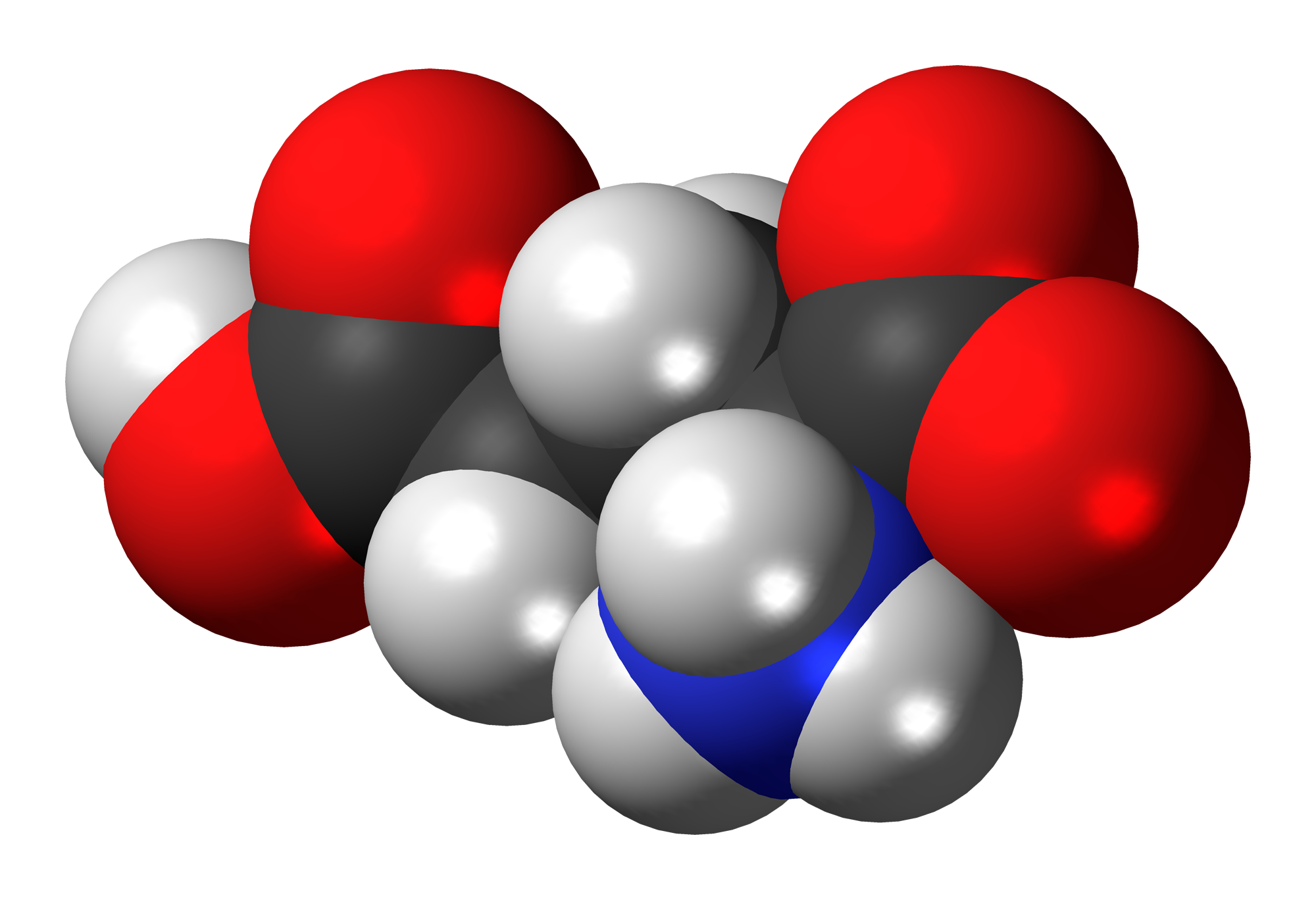 Польза и значение алифатической аминокислоты изолейцин для человеческого организма