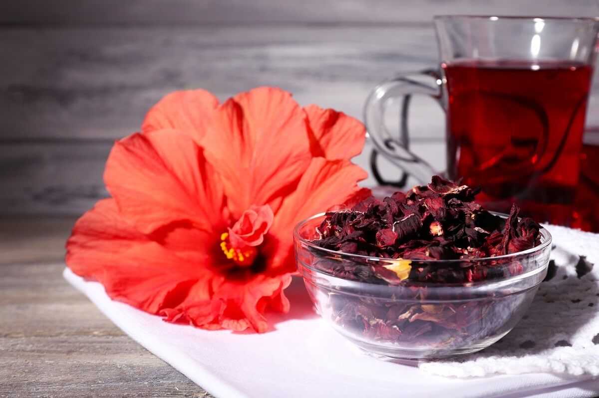 Красный чай каркаде - польза и вред