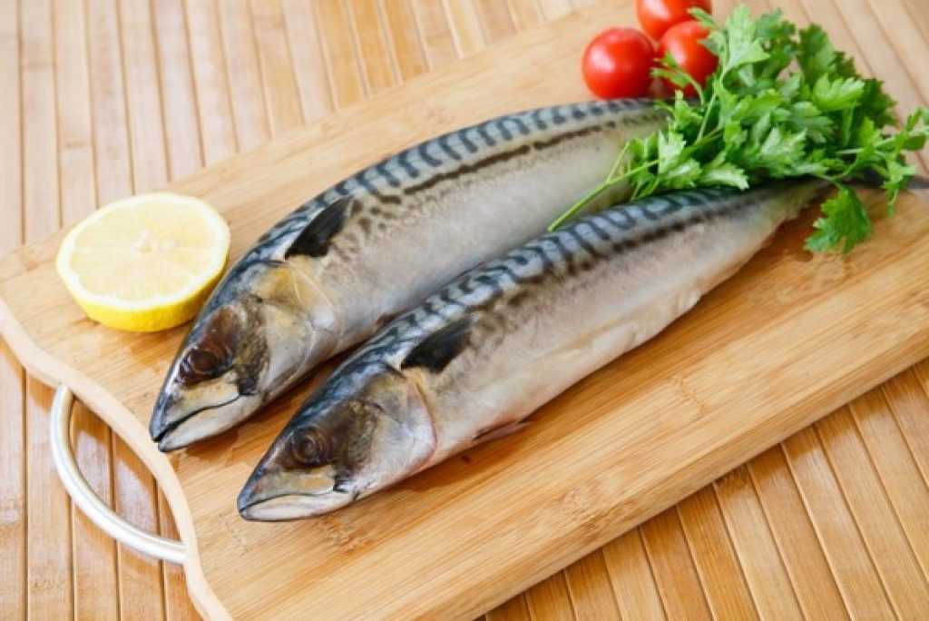 Рецепты из салаки: полезные свойства, способы приготовления домашних шпрот и других блюд из рыбы