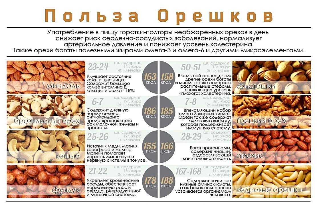 Самые полезные орехи. виды орехов. польза и вред :: syl.ru