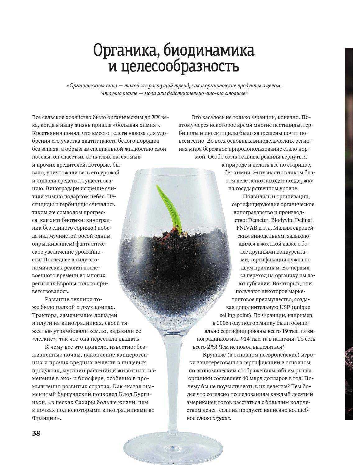 Что такое органическое вино, чем оно отличается от обычного?