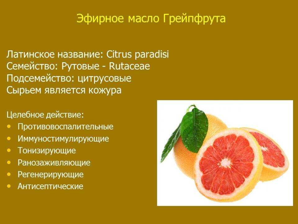 Грейпфрут: польза и вред для организма и похудения, отзывы