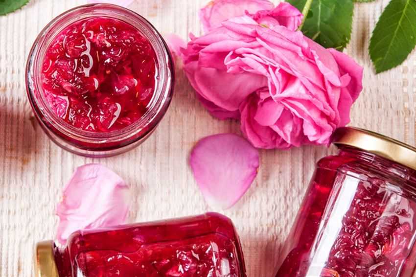Лепестки роз: рецепты, польза и вред, как есть