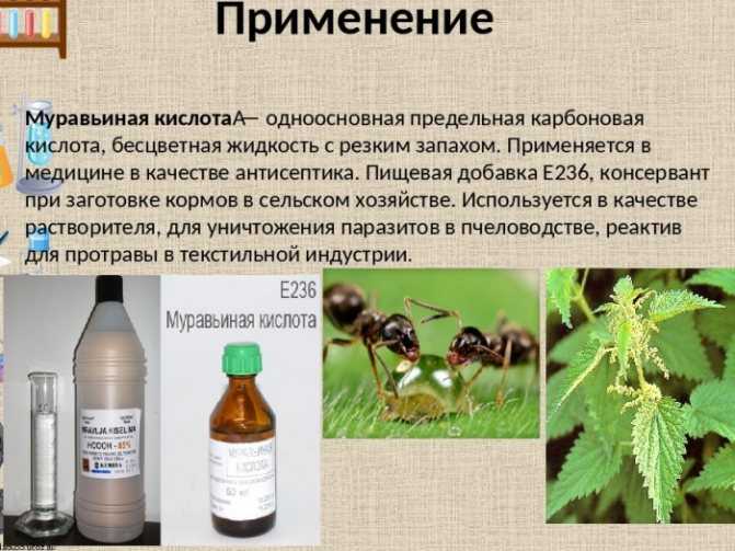 Физические и химические свойства муравьиной кислоты Основные производители пищевой добавки Применение Е236 в качестве антисептика и в пищевой промышленности
