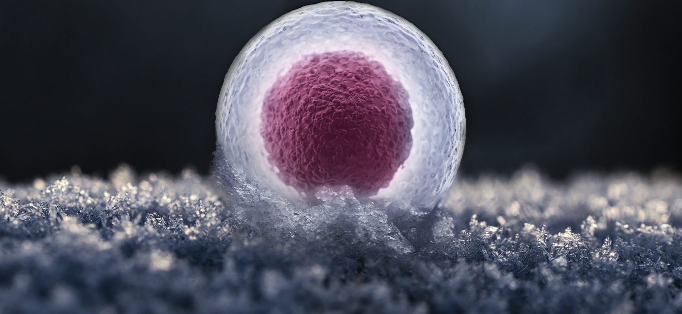 Криоконсервация эмбрионов. «за» и «против».