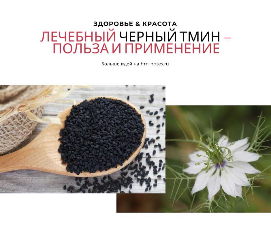 Черный тмин - полезные и опасные свойства черного тмина