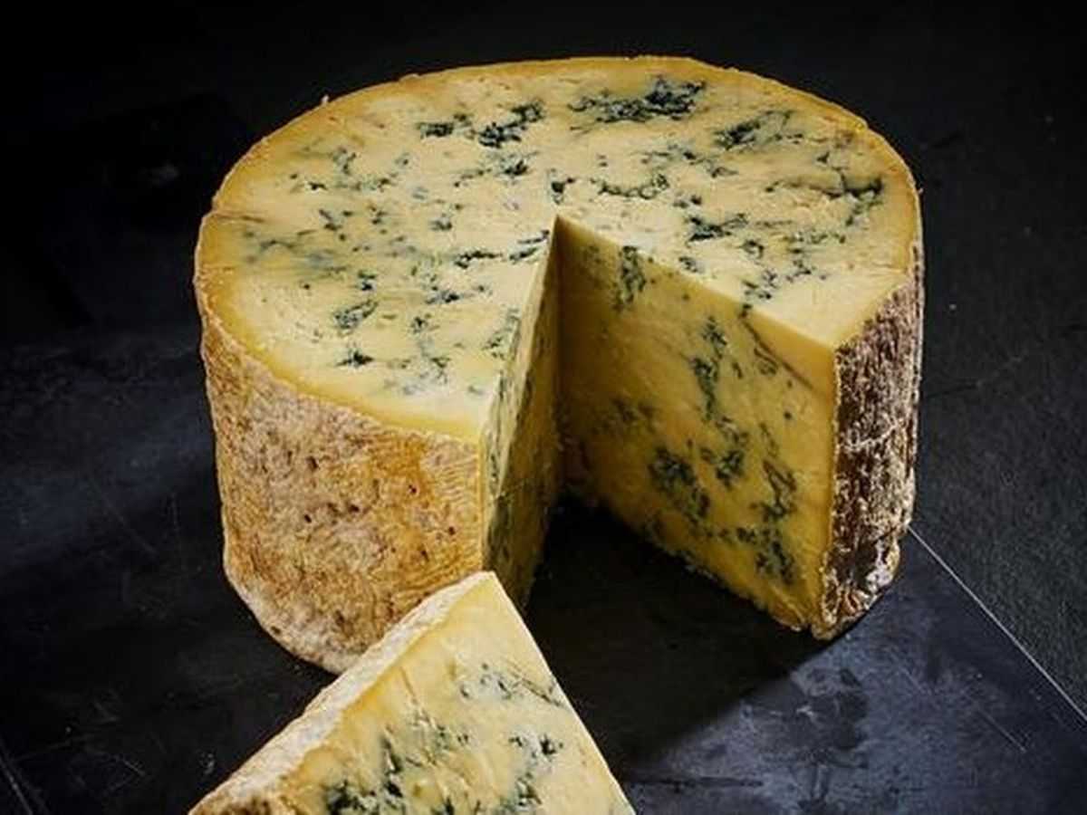 Знаменитые сыры. Blue Stilton сыр. Стилтон, горгонзола. Английский сыр Стилтон. Сыр Стилтон с голубой плесенью.