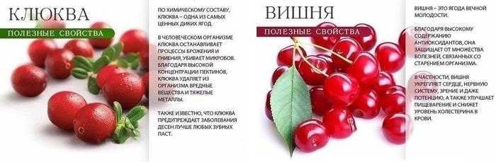 Вишня: «сердечная ягода» — состав, польза и вред, применение в лечебных целях