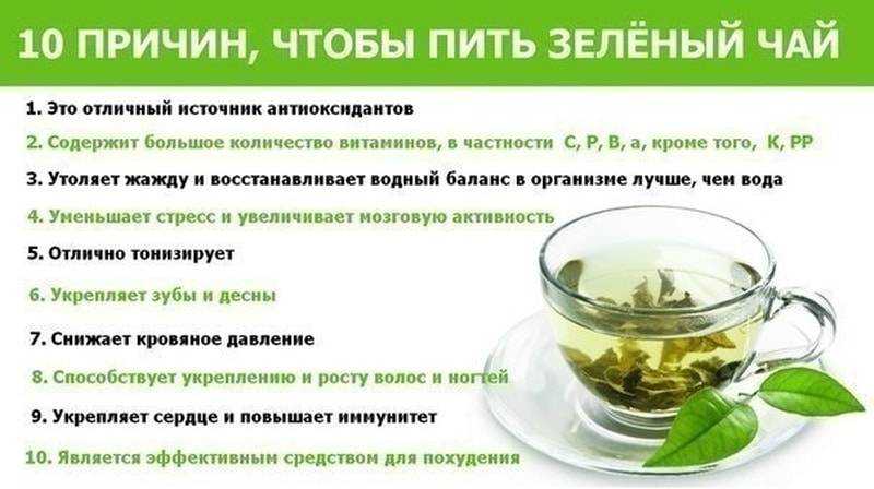 Лучшие сорта зеленого чая на 2022 год