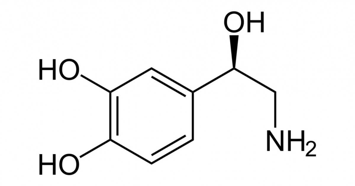 Как консервант е218 (метилпарагидроксибензоат) влияет на организм человека?