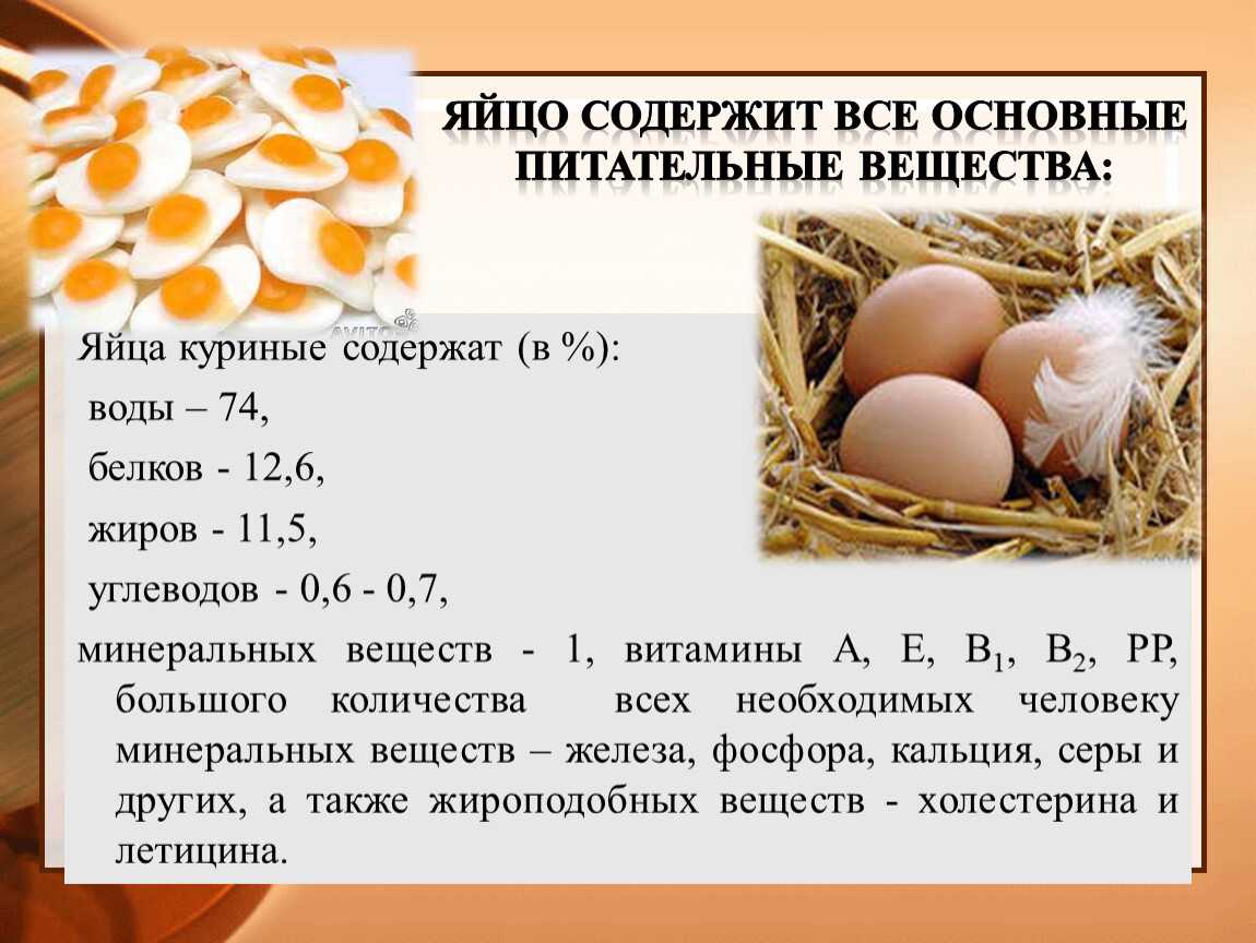 Яйцо фазана польза и вред