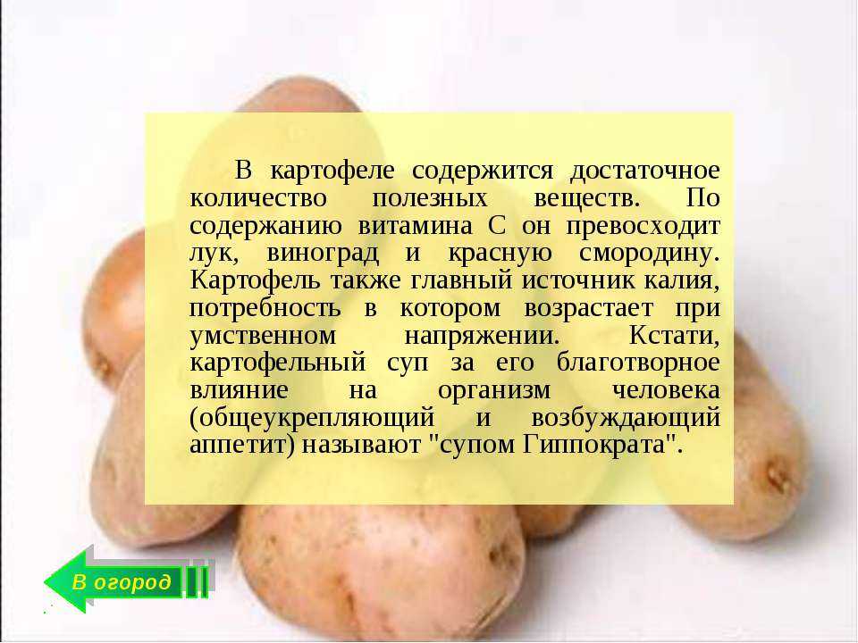 Картофельный отвар: польза и вред для человека