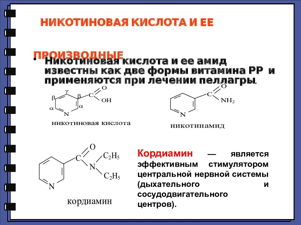 Витамин рр (никотиновая кислота, ниацин) в продуктах