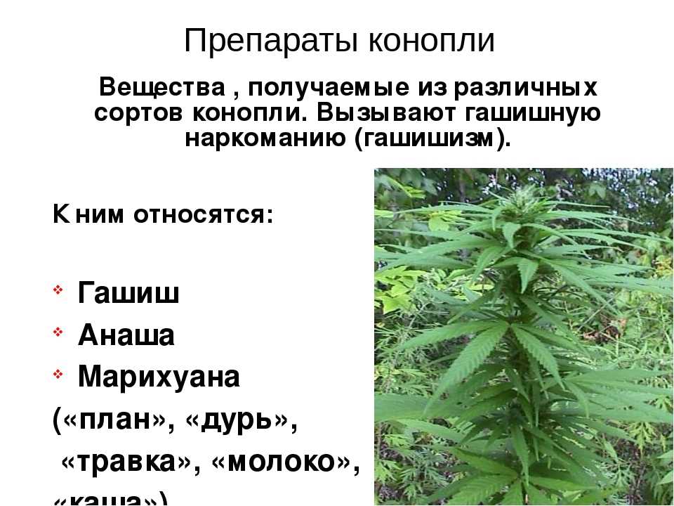 Наркоман о марихуане бокс для выращивания конопли